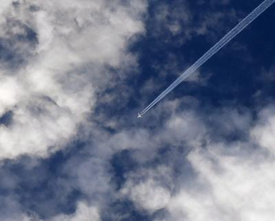 Прикрепленное изображение: 189212989_2851864238399382_8945532861205189393_n.jpg